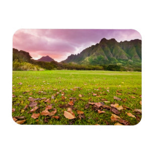 Magnet Flexible Coucher du soleil jurassique