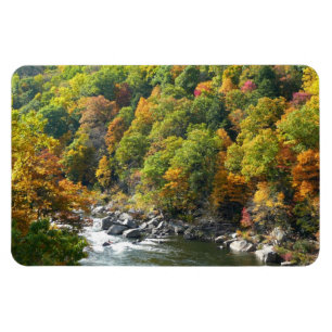 Magnet Flexible Couleur d'automne dans le parc d'état d'Ohiopyle