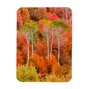 Magnet Flexible Couleurs d'automne dans les montagnes Rocheuses, W