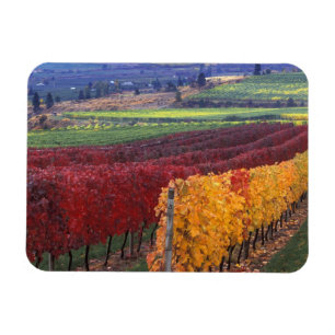 Magnet Flexible Couleurs intenses de rouge et de jaune en automne 