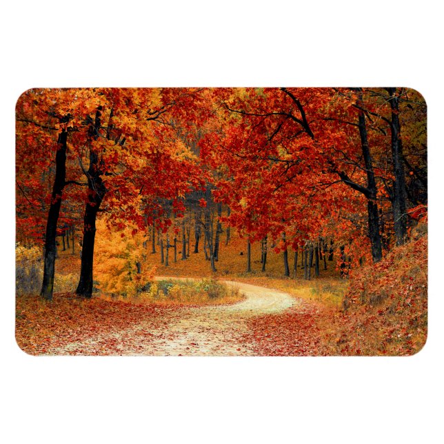 Magnet Flexible Couleurs saisonnières de l'automne (Horizontal)