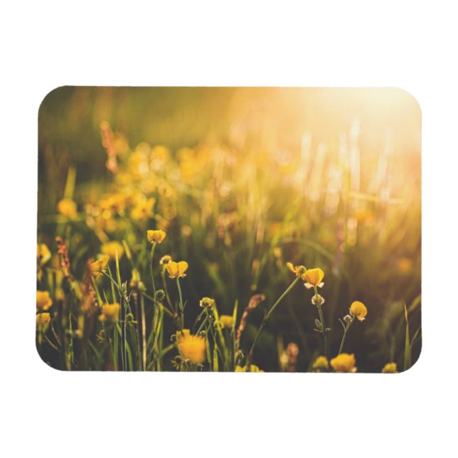 Magnet Flexible Coupe de beurre - Coucher du soleil (Horizontal)