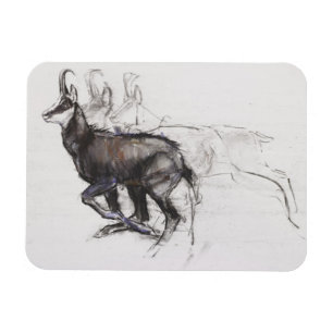 Magnet Flexible Coureur Chamois