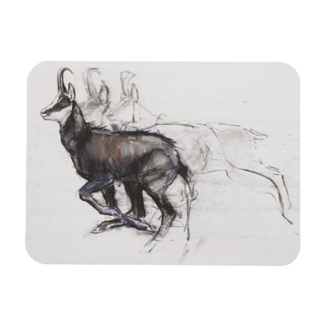 Magnet Flexible Coureur Chamois (Horizontal)