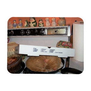Magnet Flexible Couverture de la pizza de Lion
