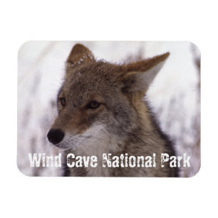 Magnet Flexible Coyote Face, Parc national de Wind Cave, SD