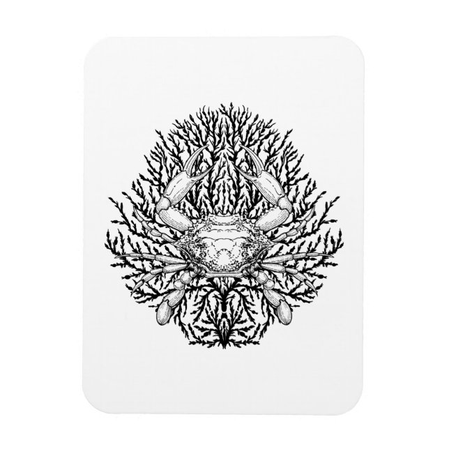 Magnet Flexible Crabe (Vertical)