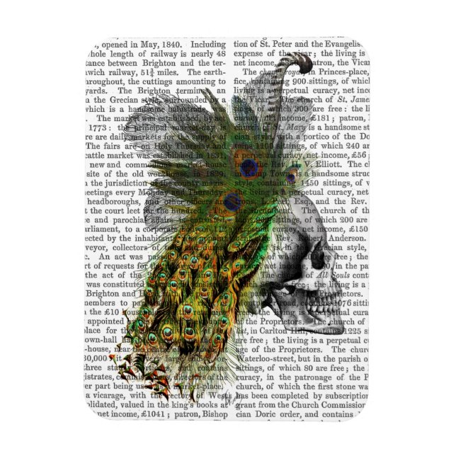 Magnet Flexible Crâne avec tête de plume (Vertical)