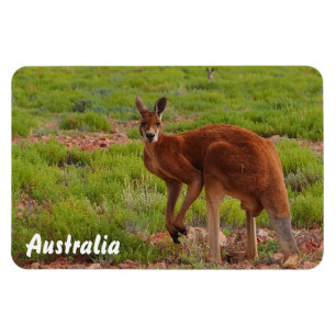 Magnet Flexible Créez votre propre aimant photo