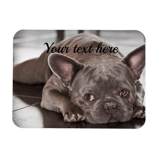 Magnet Flexible Créez votre propre réfrigérateur pour chien de com (Horizontal)