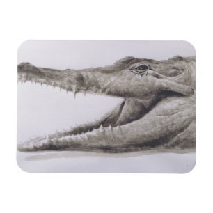 Magnet Flexible Crocodile 2005