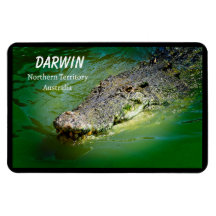 Crocodile d'eau salée du Territoire du Nord de Dar