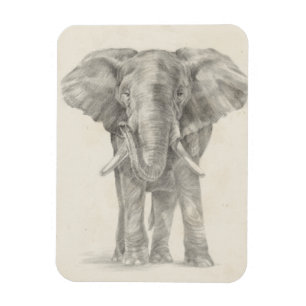 Magnet Flexible Croquis éléphant
