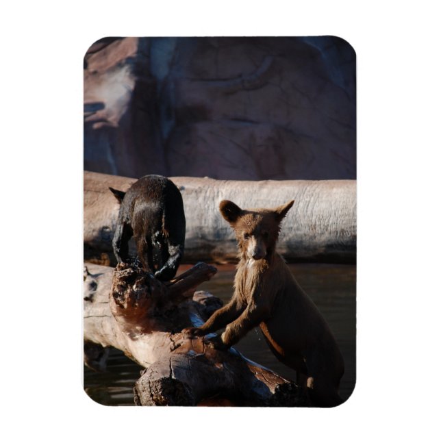 Magnet Flexible Cubes d'ours dans l'aimant à eau (Vertical)