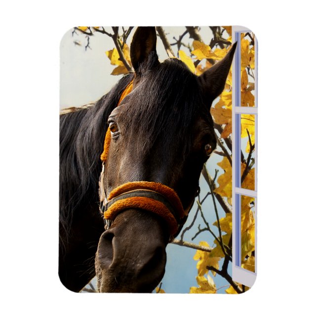 Magnet Flexible Curieux Cheval À Travers La Fenêtre De La Cuisine (Vertical)