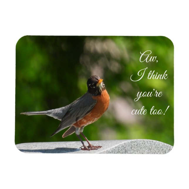 Magnet Flexible Cute American Robin *personnaliser* (Horizontal)
