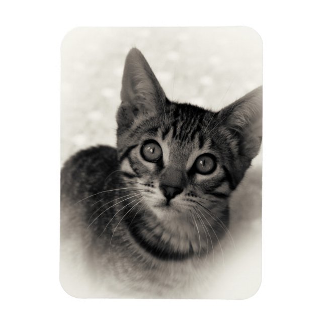 Magnet Flexible Cute Bengal Kitten (Vertical)