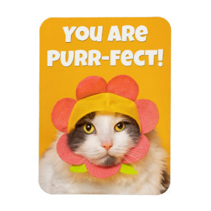 Magnet Flexible Cute Chat dans l'Humour Casquette de fleurs