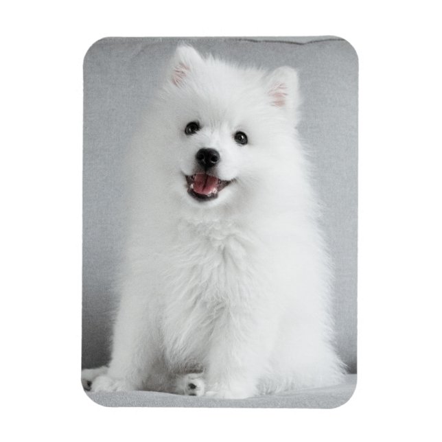 Magnet Flexible Cute Fluffy Japonais Spitz Puppy (Vertical)