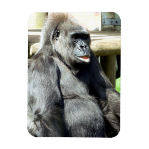 MAGNET FLEXIBLE CUTE GORILLA