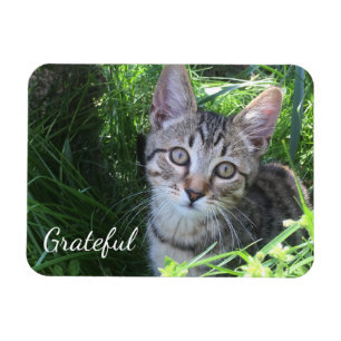 Magnet Flexible Cute Gratitude Kitten