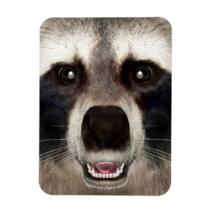 Magnet Flexible Cute Raccoon Head Funky Animal Portrait