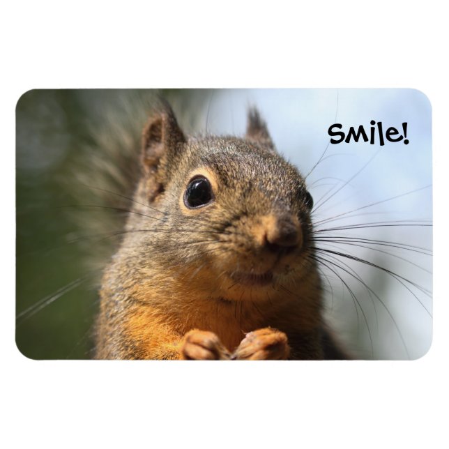 Magnet Flexible Cute Squirrel Souriant Closeup Photo (Horizontal)