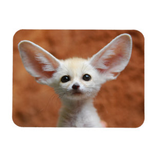 Magnet Flexible Cutest Baby Animals Fennec Fox Pup
