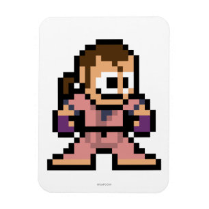 Magnet Flexible Dan à 8 bits