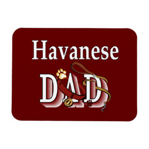 Magnet Flexible DAN Havanais