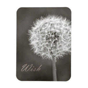 Magnet Flexible Dandelion de voeux inspiré