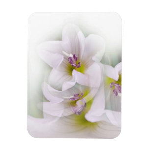 Magnet Flexible danse des fleurs