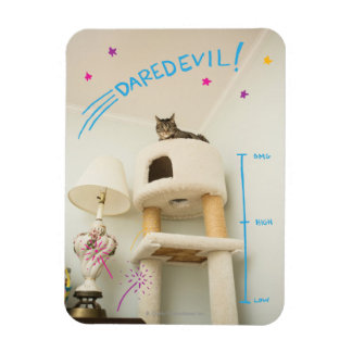 Magnet Flexible Daredevil Cat