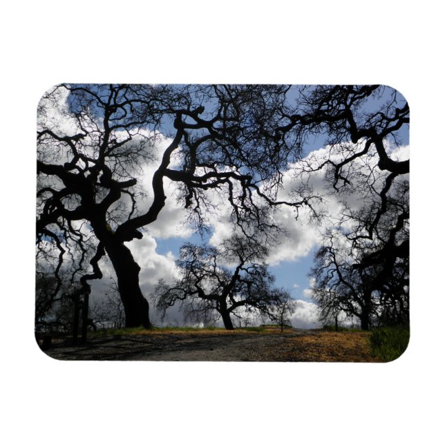 Magnet Flexible De nombreux arbres Éffrayants (Horizontal)