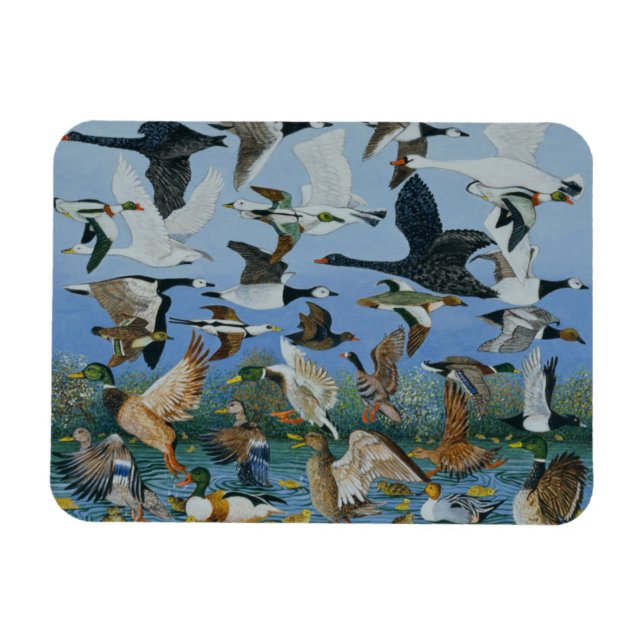 Magnet Flexible Décollage 1996 (Horizontal)