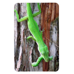 Magnet Flexible Déjeuner Quelqu'Un ? Aimant d'oignon vert (Lizard)