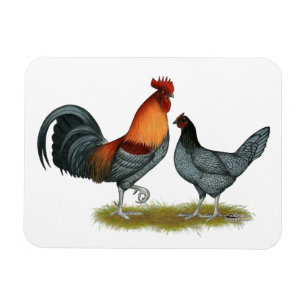 Magnet Flexible Delaware Blue Hen