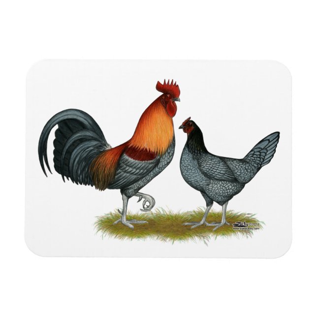 Magnet Flexible Delaware Blue Hen (Horizontal)