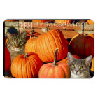 Des chatons de Thanksgiving et des citrouilles