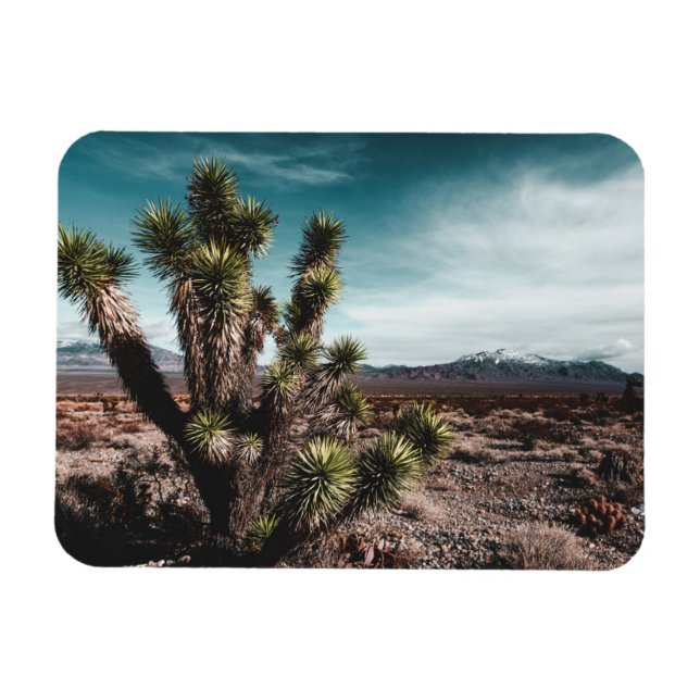 Magnet Flexible Deserts | Cholla (Horizontal)