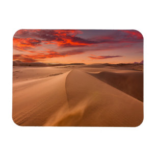Magnet Flexible Deserts   Desert United Arab Emirates