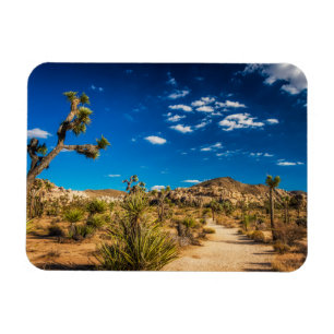 Magnet Flexible Deserts Joshua Tree National Park