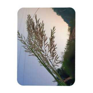 Magnet Flexible Design naturel