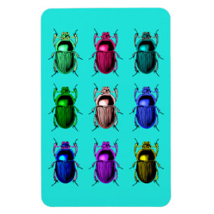 Magnet Flexible Désinsectisation : Insectes colorés de scarabée