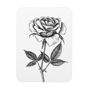 Magnet Flexible dessin rose
