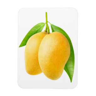Magnet Flexible Deux fruits de mangue jaune