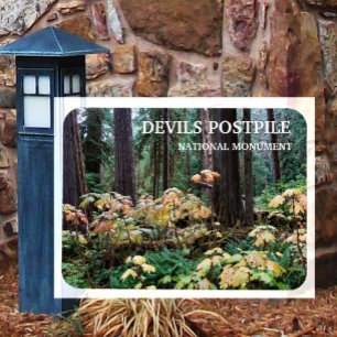 Magnet Flexible Devil's Club, Devils Postpile Monument National