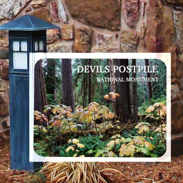 Magnet Flexible Devil's Club, Devils Postpile Monument National (Créateur téléchargé)