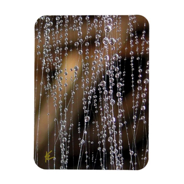 Magnet Flexible Dew Drops Sparkle on Spider Web Meditation (Vertical)