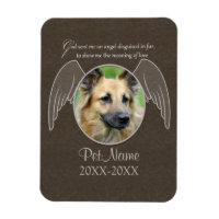 Dieu a envoyé un animal de compagnie Angel Sympath